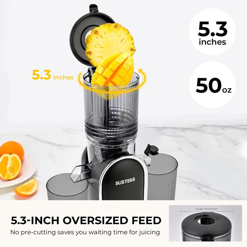 SUSTEAS Cold Press Juicer, 5.3 Inch Large Feed Opening, Slow Masticator Chute, for Whole Vegetables and Fruits, High Yield, Easy to Clean Springtok Steel